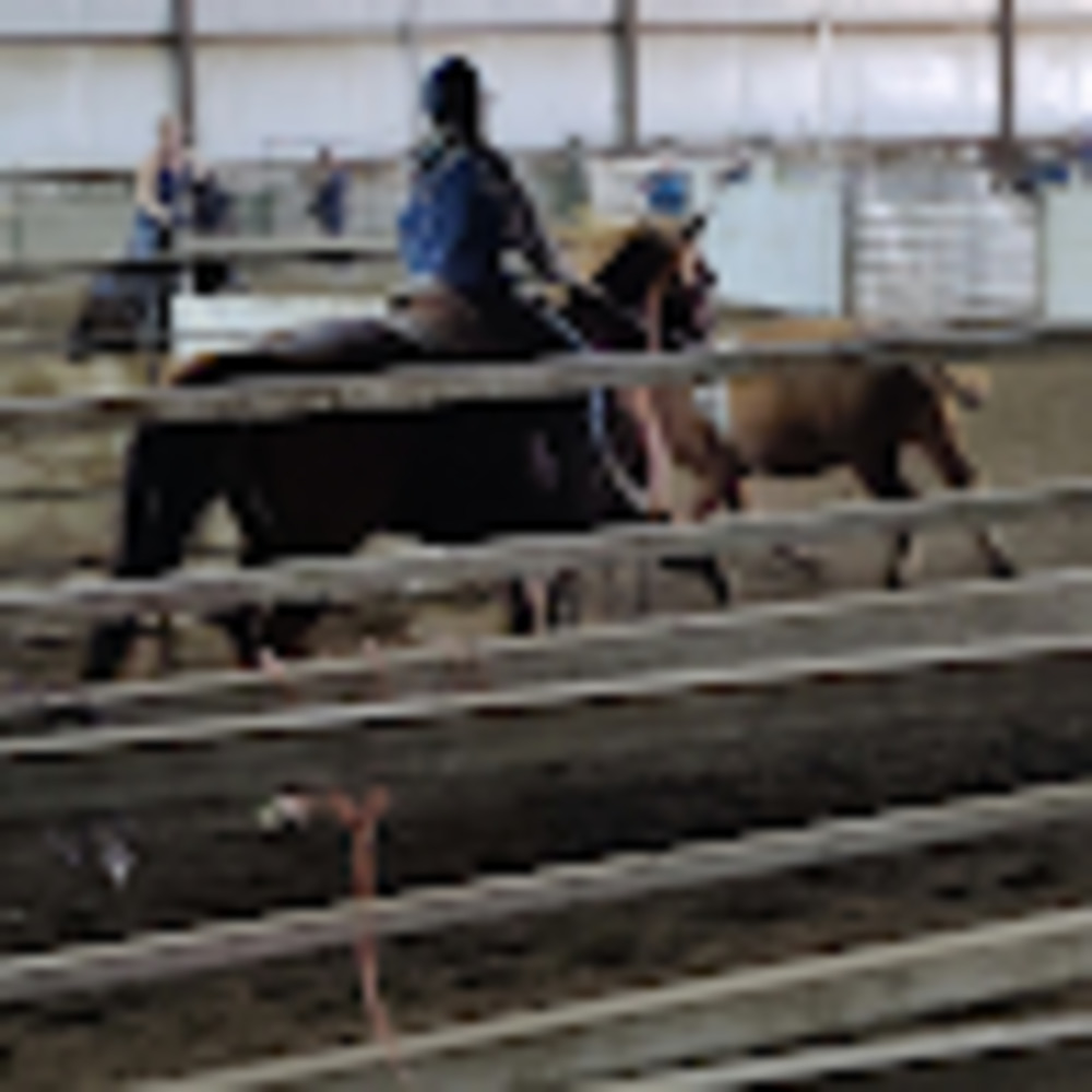 Meet your Posher, Alayna